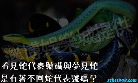 蛇代表什麼|【看見蛇代表什麼】看見蛇代表什麼？民俗專家揭露傳統文化中的。